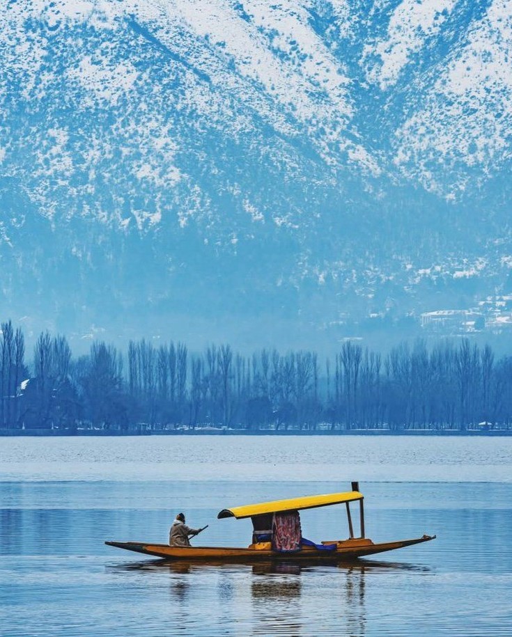 Dal Lake solo group travel
