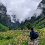 Beauty of valley of flowers