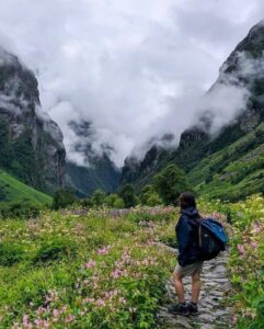Beauty of valley of flowers